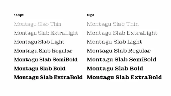 Montagu Family font