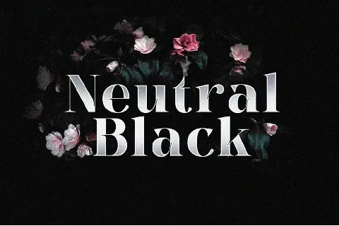 Neutral Black font