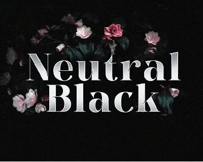 Neutral Black font