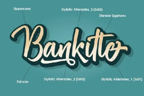 Bankitte Handlettered font