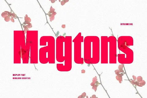 Magtons font