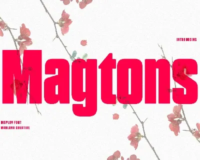 Magtons font