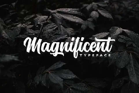 Magnificent Free font