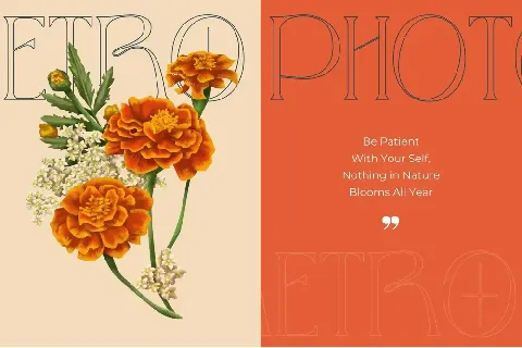 Metro Photograph - Demo Version font