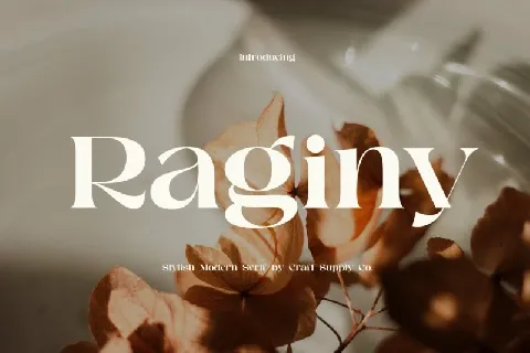 Raginy Serif font