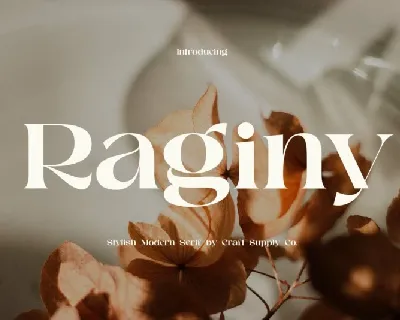 Raginy Serif font