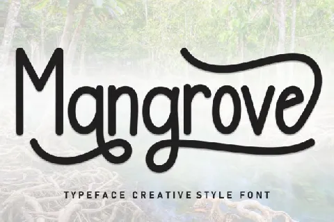 Mangrove Display font