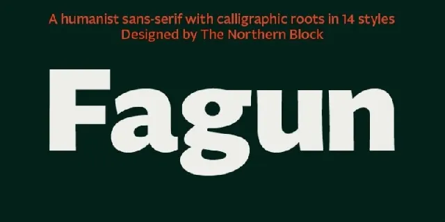 Fagun Family font