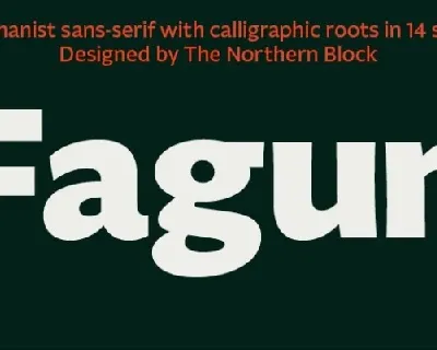 Fagun Family font