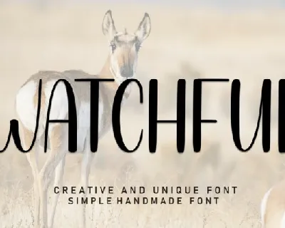 Watchful Display font