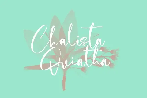 Cholasette font