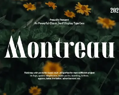 Montreau Serif font