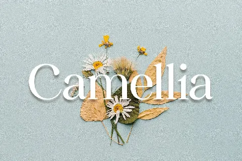 Camellia font