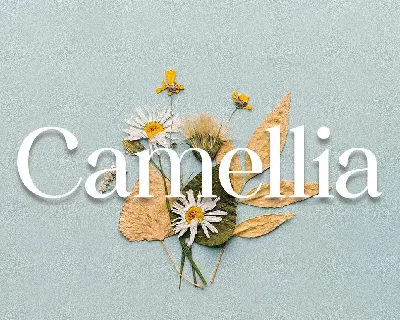 Camellia font