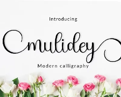 Mulidey font