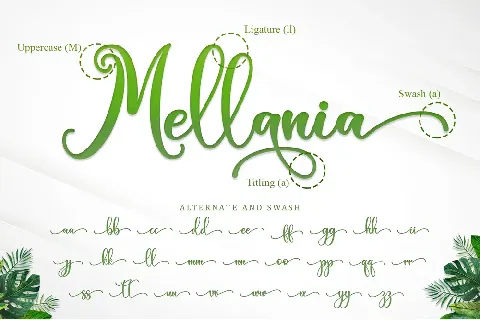 Green Leaves - Personal Use font