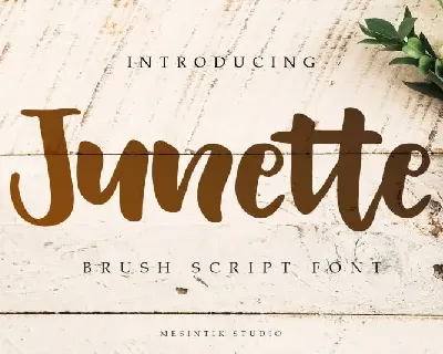 Junette Script font