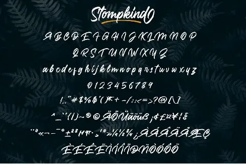 Stompkind Calligraphy Script font