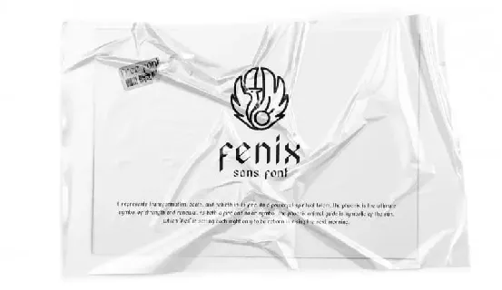 Fenix Sans font