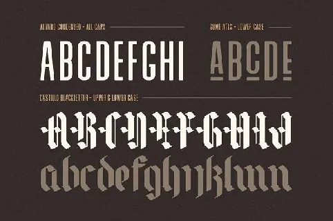 Alvaro Condensed Duo font