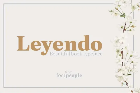 Leyendo Family font