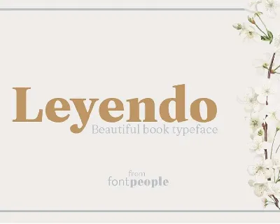 Leyendo Family font