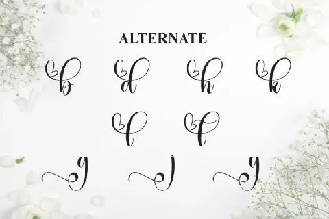 Wedding Calligraphy Typeface font