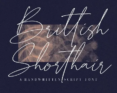 British Shorthair Script font