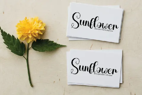 Carnation Script font