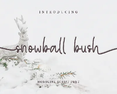 snowball bush font