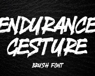 Endurance Gesture font