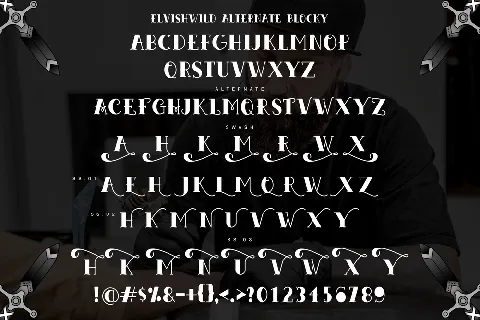 Elvishwild Demo Version font