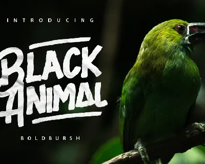 Black Animal Free font