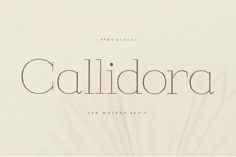 Callidora font