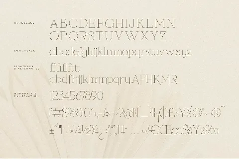 Callidora font