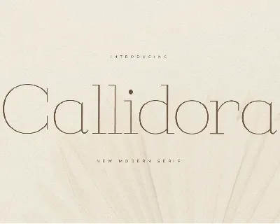 Callidora font