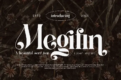 Megifin font