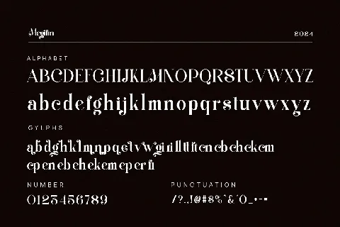 Megifin font