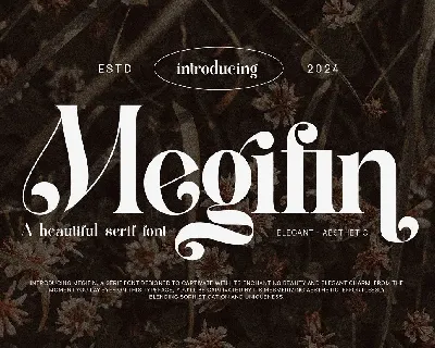 Megifin font