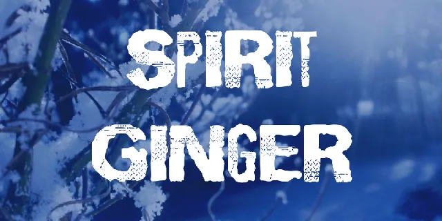 Spirit Ginger font