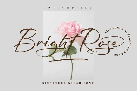 Bright Rose font