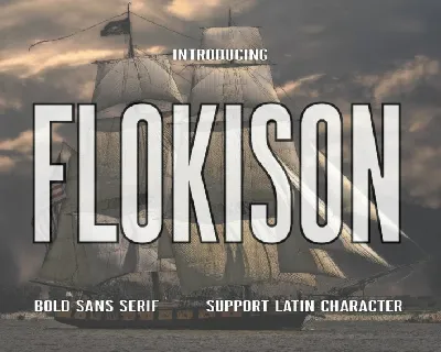 Flokison font