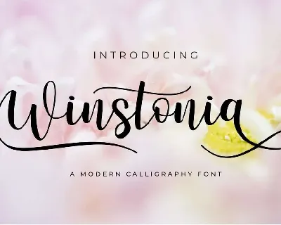 Winstonia font