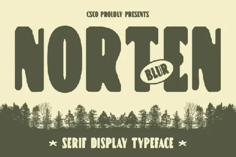 Norten Blur font