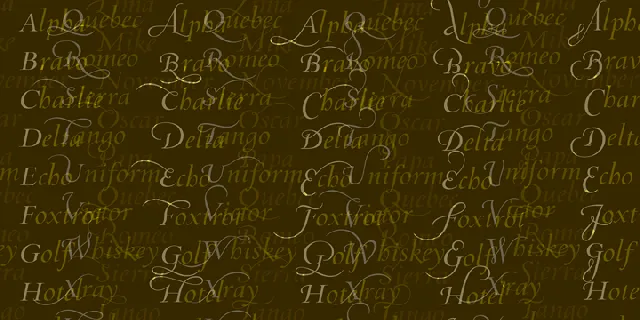 Incognito Pro Family font