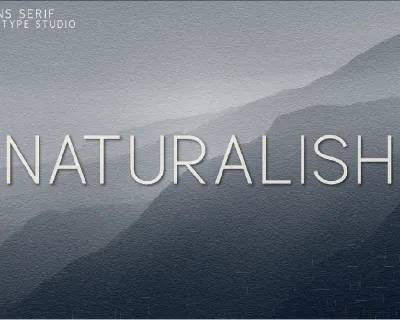 Naturalish font