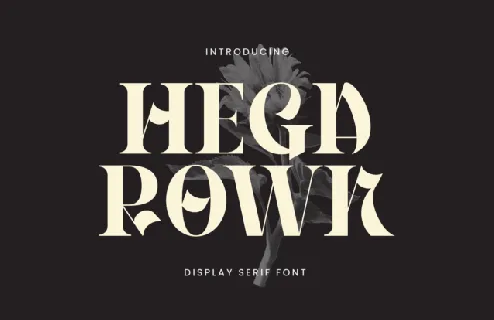 Hegarown font