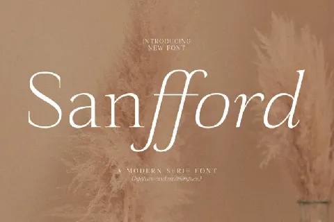 Sanfford Typeface font