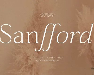 Sanfford Typeface font