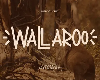 Wallaroo Demo font